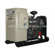 Hot sale 8KW to 140KW Ricardo power generator